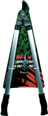 Shear-Grass & Prunning