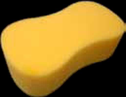Large Peanut Sponge
