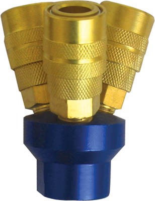 Manifold w/3 Quick Coupler