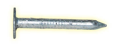 GALV. ROOF NAIL 1.5kg x 3/4"