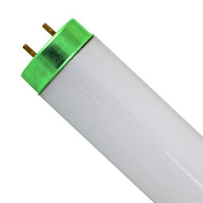 BULB F30T12WW WARM WHITE